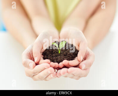 Nahaufnahme von Kind und Elternteil Hände halten sprießen Stockfoto