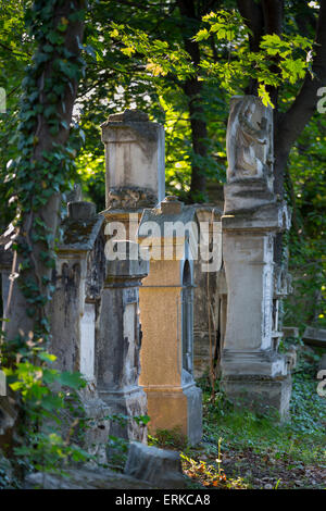 Gräber auf dem Friedhof St. Marx Biedermeier Friedhof, Bezirk Wien-Landstraße, Wien, Österreich Stockfoto