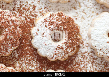 Nahaufnahme von einem italienischen DOC-Cookie mit Kakao macht und Puderzucker bedeckt Stockfoto