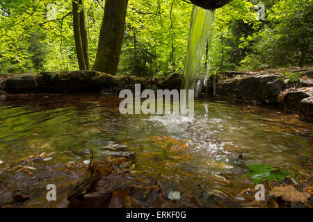 Rotmainquelle, Quelle der Roten Main, Creußen, Oberfranken, Franken, Bayern, Deutschland Stockfoto