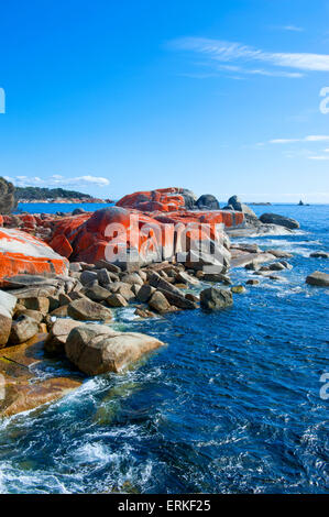 Strand, Bay of Fire, Tasmanien, Australien Stockfoto