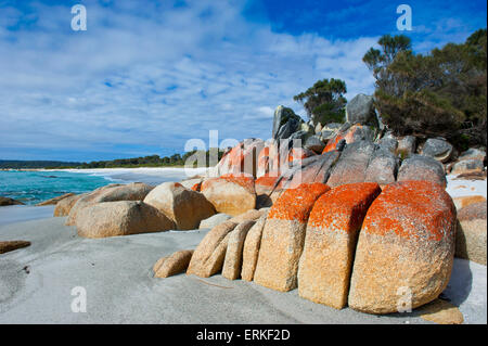 Strand, Bay of Fire, Tasmanien, Australien Stockfoto