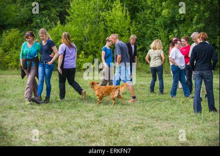 Nova Scotia Duck Tolling Retriever Charakter getestet Stockfoto