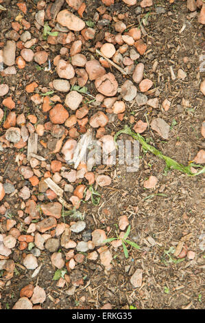 Steinchen auf dem Boden auf dem Hof eines ländlichen Hauses Stockfoto