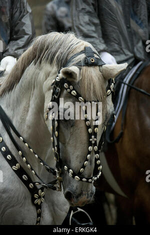 Blutritt Holly Blut Weingarten Deutschland Parade Gott Stockfoto