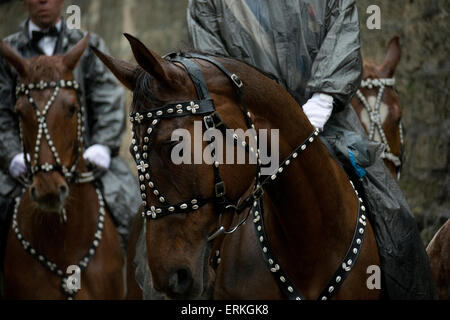 Blutritt Holly Blut Weingarten Deutschland Parade Gott Stockfoto