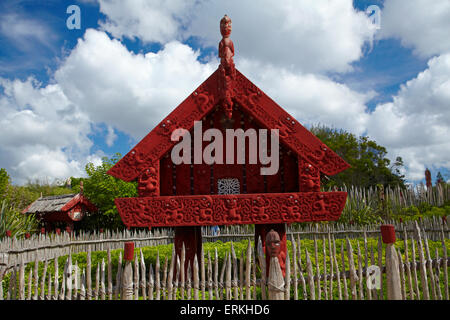 Geschnitzt, Maori Pataka Lagerhaus, Te Parapara Garten, Hamilton Gardens, Hamilton, Waikato, Nordinsel, Neuseeland Stockfoto