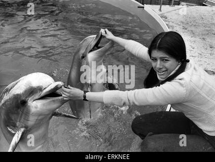 West Midland Safari- und Freizeitpark befindet sich in Bewdley, Worcestershire, England. Delphine. 12. April 1976. Stockfoto