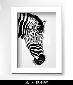 Kunstwerk Kopfprofil Zebra, digitale Skizze des Tieres Stock Vektor