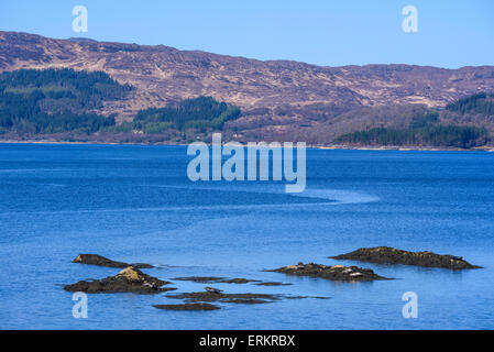 Dichtungen, Loch Sunart, in der Nähe von Salen, Ardnamurchan Halbinsel, Lochaber, Highlands, Schottland Stockfoto