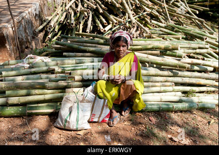 Mali Tribeswoman sitzen auf Pfählen von Zuckerrohr in Mali wöchentliche tribal, Guneipada, Koraput Marktviertel, Orissa, Indien Stockfoto
