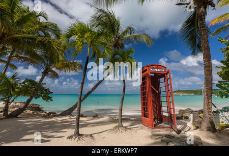 Eine rote Telefonzelle unter Kokospalmen, die umgeben von Dickenson Bay, einen Streifen Sand mit Blick auf das Karibische Meer, Antigua Stockfoto