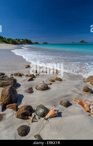 Muscheln und Felsen liegen am Strand von Spearn Bay den tropischen Sonne beleuchtet und vom karibischen Meer, Antigua, Leeward-Inseln gewaschen Stockfoto