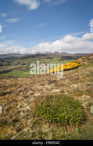 Blick vom Knockfarrel-Hügel in der Nähe von Strathpeffer in Schottland. Stockfoto