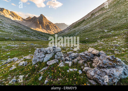 Letzte wärmende Sonnenstrahlen auf leuchtende Bergspitzen des italienischen französische Alpen. Weitwinkel-Ansicht von oben mit blühenden Wiese. Stockfoto