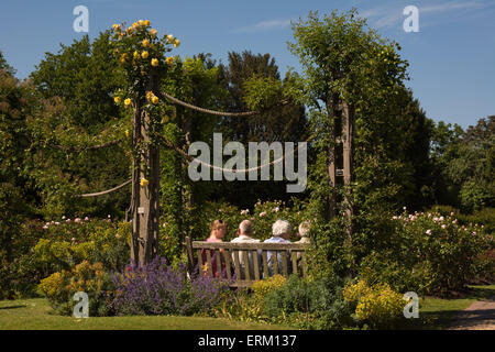 London, UK. 4. Juni 2015. UK-Wetter: Besucher Queen Mary Gärten im Regents Park in der Sonne aalen und Blumen zu bewundern, an einem feinen und sonnigen Tag. Bildnachweis: Patricia Phillips/Alamy Live-Nachrichten Stockfoto