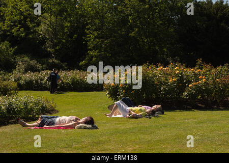 London, UK. 4. Juni 2015. UK-Wetter: Besucher, Queen Mary Gärten im Regents Park in der Sonne aalen auf einem feinen und sonnigen Tag. Bildnachweis: Patricia Phillips/Alamy Live-Nachrichten Stockfoto