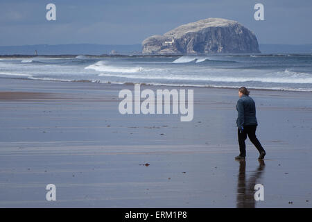 Frau zu Fuß am Strand, Bass Rock in Ferne Stockfoto