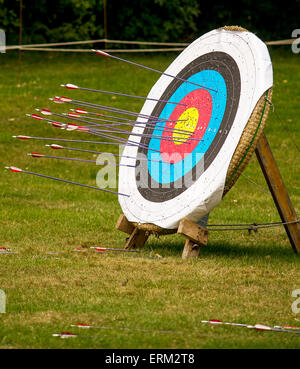 Zielscheibe mit Bogenschießenpfeile. Stockfoto