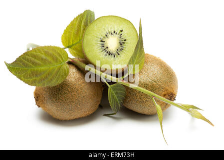 Kiwi - Früchte und Blätter, die isoliert auf weißem Hintergrund Stockfoto
