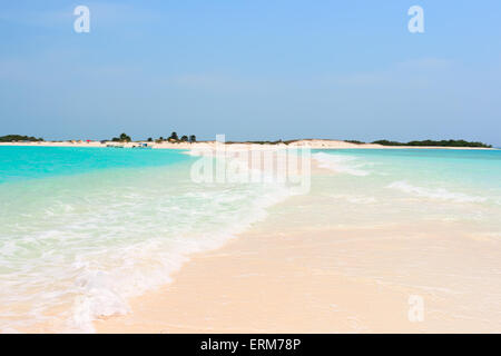 Tropischer Strand der Insel Cayo de Agua, Los Roques, Venezuela Stockfoto