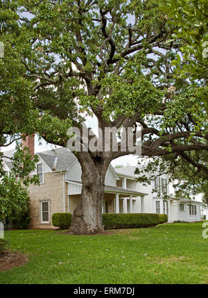 Lady Bird Johnson, Texas White House und Ranch Haus Lyndon B. Johnson. Stockfoto