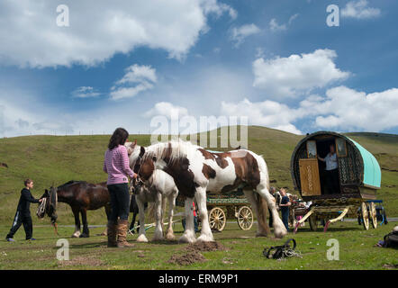 Appleby, Cumbria, UK. 4. Juni 2015. Reisende nach der Appleby Horse Fair 2015, machen eine Pause Watergap unten in Mallerstang in der Nähe von Kirkby Stephen, Cumbria. Bildnachweis: Wayne HUTCHINSON/Alamy Live-Nachrichten Stockfoto