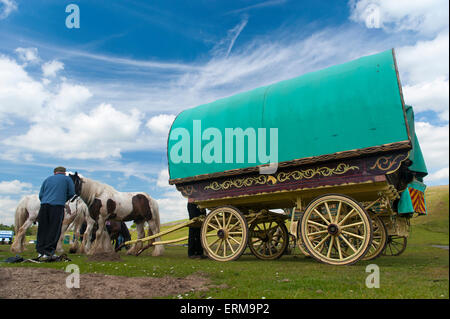 Appleby, Cumbria, UK. 4. Juni 2015. Reisende nach der Appleby Horse Fair 2015, machen eine Pause Watergap unten in Mallerstang in der Nähe von Kirkby Stephen, Cumbria. Bildnachweis: Wayne HUTCHINSON/Alamy Live-Nachrichten Stockfoto