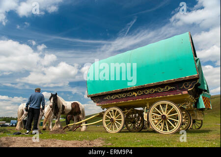 Appleby, Cumbria, UK. 4. Juni 2015. Reisende nach der Appleby Horse Fair 2015, machen eine Pause Watergap unten in Mallerstang in der Nähe von Kirkby Stephen, Cumbria. Bildnachweis: Wayne HUTCHINSON/Alamy Live-Nachrichten Stockfoto