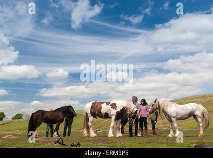 Appleby, Cumbria, UK. 4. Juni 2015. Reisende nach der Appleby Horse Fair 2015, machen eine Pause Watergap unten in Mallerstang in der Nähe von Kirkby Stephen, Cumbria. Bildnachweis: Wayne HUTCHINSON/Alamy Live-Nachrichten Stockfoto