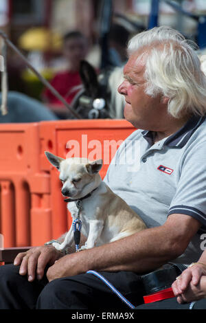 Appleby, Cumbria, UK. 4. Juni 2015. Appleby Horse Fair 2015. Bildnachweis: Wayne HUTCHINSON/Alamy Live-Nachrichten Stockfoto