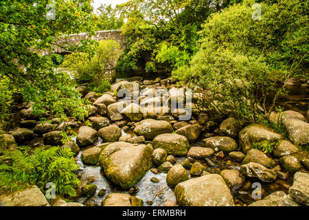 Die rocky River Dart am Dartmeet in Devon. Stockfoto