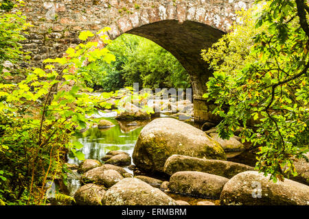 Die rocky River Dart am Dartmeet in Devon. Stockfoto