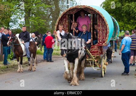 Appleby in Westmorland, U.K. 4. Juni 2015. Zigeuner, die Ankunft in Appleby Horse Fair. Die Messe existiert seit 1685 unter dem Schutz einer Urkunde von König James II. Ab der ersten ist Donnerstag im Juni und läuft für eine Woche die Messe von Roma-Zigeuner, Pferdehändler und Reisende aus in ganz Europa besucht. Bildnachweis: Mark Richardson/Alamy Live-Nachrichten Stockfoto