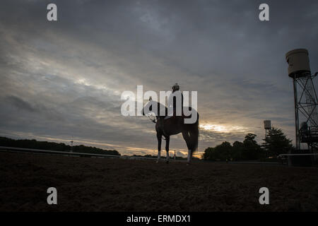 Elmont, New York, USA. 4. Juni 2015. Pferde auf dem Hauptgleis bei Sonnenaufgang am Belmont Park, Donnerstag, 4. Juni 2015. Bildnachweis: Bryan Smith/ZUMA Draht/Alamy Live-Nachrichten Stockfoto