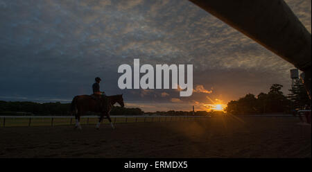 Elmont, New York, USA. 4. Juni 2015. Pferde auf dem Hauptgleis bei Sonnenaufgang am Belmont Park, Donnerstag, 4. Juni 2015. Bildnachweis: Bryan Smith/ZUMA Draht/Alamy Live-Nachrichten Stockfoto