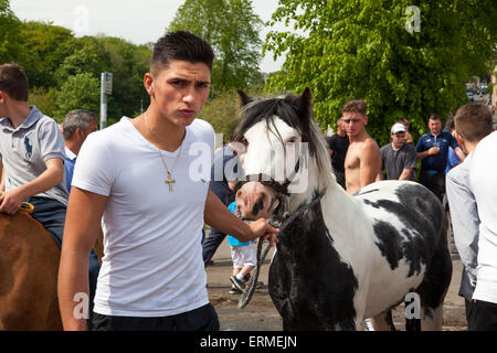 Appleby in Westmorland, U.K. 4. Juni 2015. Zigeuner mit Pferden auf der Appleby Horse Fair. Die Messe existiert seit 1685 unter dem Schutz einer Urkunde von König James II. Ab der ersten ist Donnerstag im Juni und läuft für eine Woche die Messe von Roma-Zigeuner, Pferdehändler und Reisende aus in ganz Europa besucht. Bildnachweis: Mark Richardson/Alamy Live-Nachrichten Stockfoto