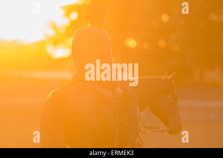 Elmont, New York, USA. 4. Juni 2015. Ein Pferd auf dem Hauptgleis Vormittag im Belmont Park, Donnerstag, 4. Juni 2015. Bildnachweis: Bryan Smith/ZUMA Draht/Alamy Live-Nachrichten Stockfoto