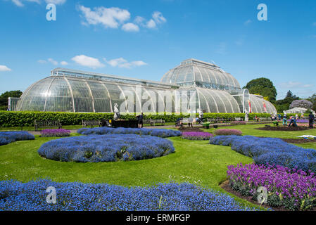 Das Palmenhaus in Kew Gardens, London Stockfoto