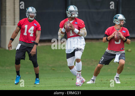 Charlotte, North Carolina, USA. 4. Juni 2015. NFL 2015 Carolina Panthers QB 14 Joe Webb (links) Cam Newton Nummer 1 (Mitte) und QB 3 Derek Anderson (rechts) gehen Sie durch die Übungen während OTA bei Panthers Übungsfeld Charlotte NC übergeben. Scott D Stivason/Cal Sport Media/Alamy Live-Nachrichten Stockfoto