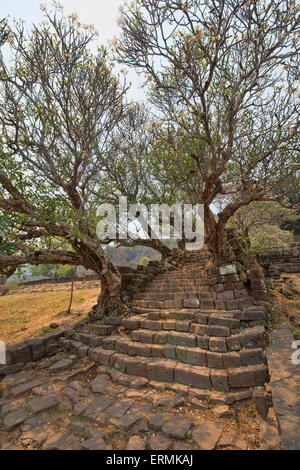 Atmosphärischen Ruinen von Vat Phou (Wat Phu) in Champasak, Laos Stockfoto