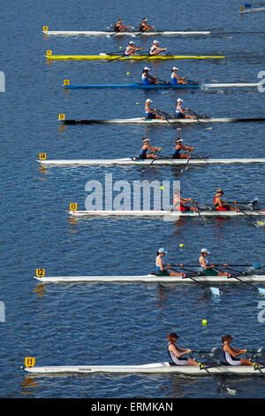 Doppelzweier Rennen, Maadi Cup Regatta, See Karipiro, Waikato, Nordinsel, Neuseeland Stockfoto