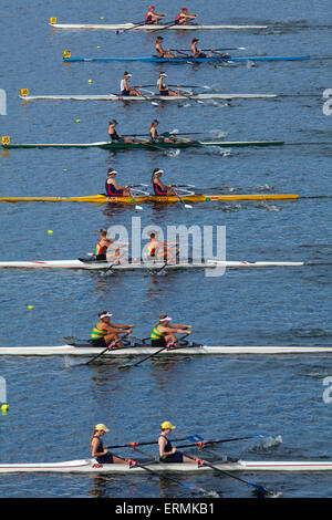 Doppelzweier Rennen, Maadi Cup Regatta, See Karipiro, Waikato, Nordinsel, Neuseeland Stockfoto