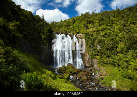 Marokopa Falls, Waitomo-Distrikt, Waikato, Nordinsel, Neuseeland Stockfoto