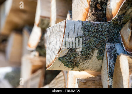 Haufen von Birke Baumstämmen für Brennholz Stockfoto