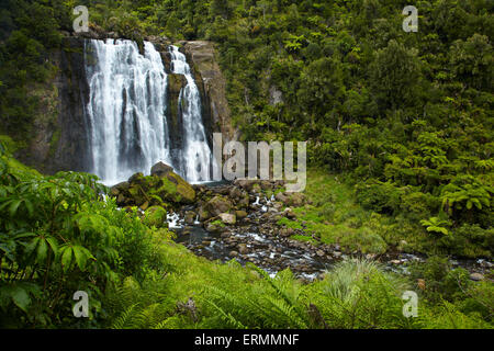 Marokopa Falls, Waitomo-Distrikt, Waikato, Nordinsel, Neuseeland Stockfoto