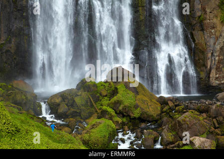 Marokopa Falls, Waitomo-Distrikt, Waikato, Nordinsel, Neuseeland Stockfoto