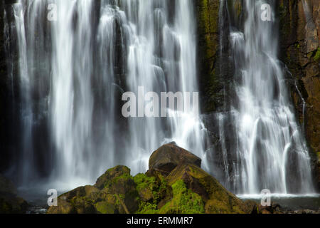 Marokopa Falls, Waitomo-Distrikt, Waikato, Nordinsel, Neuseeland Stockfoto