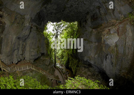 Mangapohue Natural Bridge, Waitomo-Distrikt, Waikato, Nordinsel, Neuseeland Stockfoto