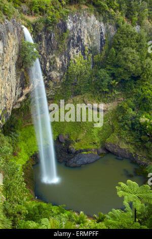 Bridal Veil Falls, in der Nähe von Raglan, Waikato, Nordinsel, Neuseeland Stockfoto
